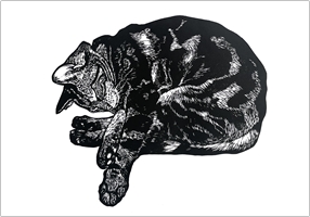 Image of card