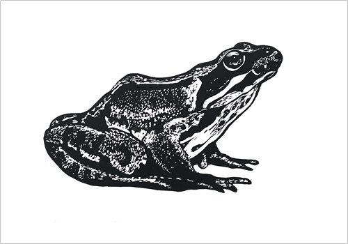 Image of card