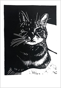 Image of card