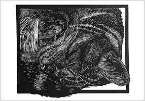 Image of card