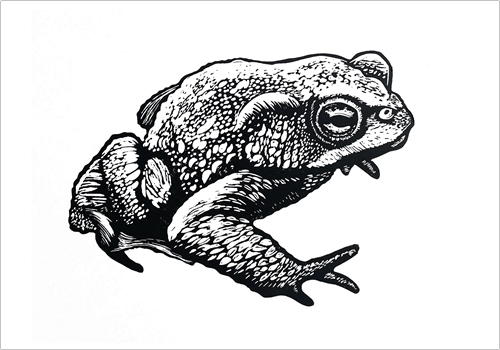 Image of card